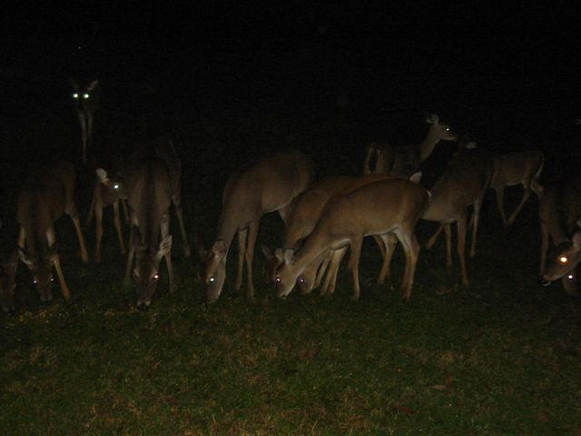 image0038